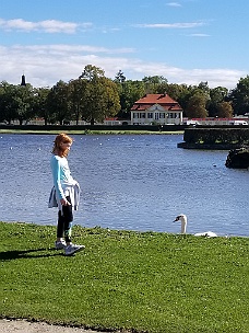 20180923_133301 Emily Admires A Swan